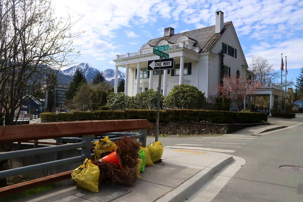 A dead Christmas tree and a traffic cone are piled along with bags of garbage near the Governors Mansion during the annual Litter Free community cleanup on Saturday. (Mark Sabbatini / Juneau Empire)