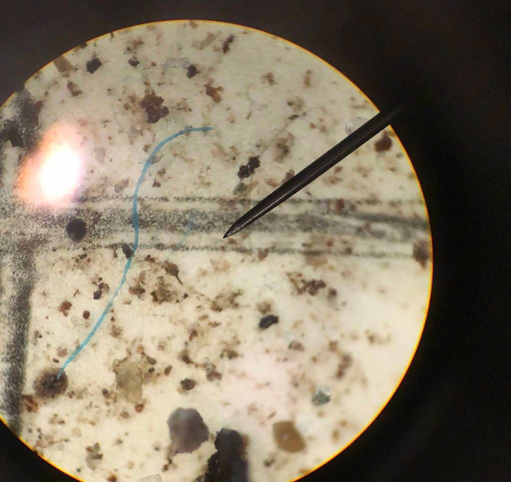 A tiny blue plastic fiber that fell within a raindrop in the Thane area of Juneau, Alaska. The view is of filter paper that captured the plastic fiber, as viewed through a microscope. (Photo courtesy Sonia Nagorski, a professor at the University of Alaska Southeast in Juneau)