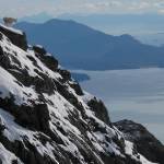 An adult female mountain goat navigates a 40-degree slope on Lions Head Mountain above Lynn Canal. (Photo by Kevin White)