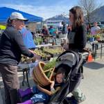 Thane Community Gardens Lauren Smoker discusses parsley varieties with valley gardener Kyleen Luhrs while young Della holds her mothers basket containing a potted rosemary plant. Living near the glacier has not deterred Luhrs food growing efforts, although plants are slower to emerge than in warmer Thane. She has six large raised beds for growing greens, zucchini, beets, other edibles and many varieties of berries. Her family converted their lawn to food production as well as perennial flowers. (Laurie Craig / Juneau Empire)