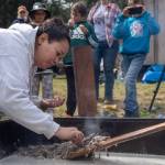 A participant looks for eulachon eggs to snack on May 1. (Lex Treinen/Chilkat Valley News)