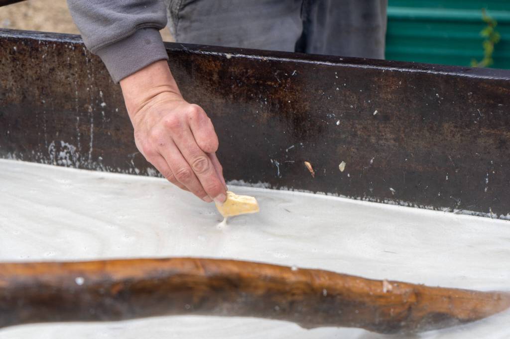 Ted Hart dips Pilot Bread into the warming eulachon oil on May 2. (Lex Treinen/Chilkat Valley News)