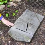 Jamiann Hasselquist points out the fractured headstone of a Japanese man known only as T. Yamane buried in 1907 in the Lawson Creek Cemetery, as they work with other volunteers to restore the cemetery, on May 22, 2021. (Michael S. Lockett / Juneau Empire file photo)