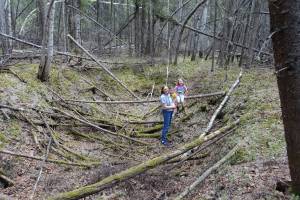 Leanne Bulger stands holding her daughter Violet, 2, next to Rose, 6, within a sunken thawed-permafrost feature called a thermokarst in the boreal forest on the University of Alaska Fairbanks campus on May 22, 2024. (Photo by Ned Rozell)