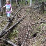 Six-year-old Rose Bulger balances on a fallen log above two holes in the forest floor related to permafrost thaw. (Photo by Ned Rozell)