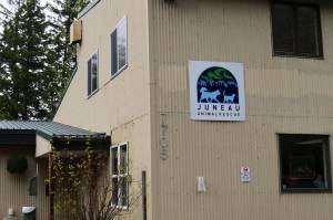 The Juneau Animal Rescue facility, which took custody of 30 cats and kittens from a Juneau residence on Tuesday. (Mark Sabbatini / Juneau Empire)