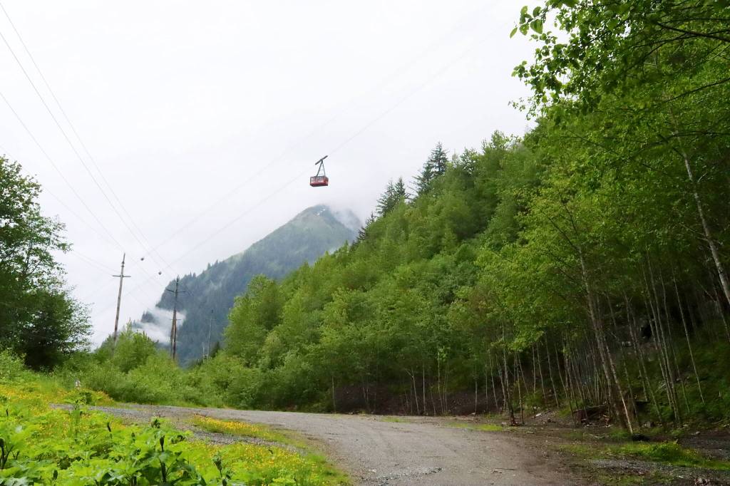 The former Mill Campground site near the Goldbelt Tram stands empty on Monday, with the tent platforms and other installations removed following the Juneau Assemblys decision not to reopen the campground due to frequent reports of illegal activity last year. (Mark Sabbatini / Juneau Empire)