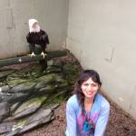 Louise Riofrio, a former naturalist at the Juneau Raptor Center who tended to Lady Baltimore during her time there, sits with the bald eagle in her enclosure at the tramway. (Photo courtesy of Louise Riofrio)