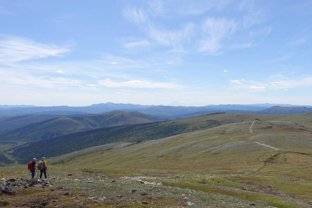 Bruno Grunau and Forest Wagner hike a trail through the alpine in Interior Alaska during the AlaskAcross 2024 50-mile race. (Photo by Ned Rozell)
