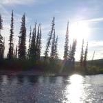 Bruno Grunau crosses the Ikheenjik River (formerly known as Birch Creek), the major water obstacle during the AlaskAcross 2024 race from Eagle Summit to Chena Hot Springs resort. (Photo by Ned Rozell)