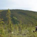 Bruno Grunau and Forest Wagner negotiate trail-less country during the AlaskAcross 2024 race from Eagle Summit to Chena Hot Springs resort. (Photo by Ned Rozell)
