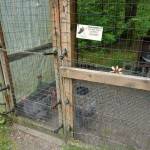 A chicken coop wired with electric fencing to deter bears in a Mendenhall Valley yard. (Laurie Craig / Juneau Empire)