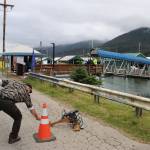 Chris Salazar fires a ceremonial cannon as dignitaries perform a ribbon cutting in the background during a ceremony celebrating the completion of the third of four stages of reconstruction of the 60-year-old Aurora Harbor. (Mark Sabbatini / Juneau Empire)