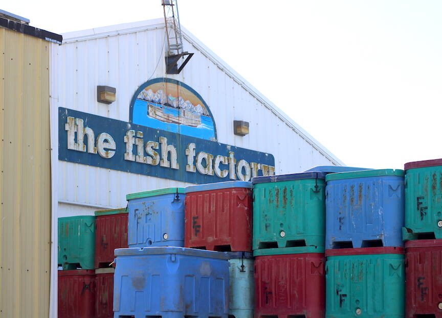 Totes are stacked outside The Fish Factory in Homer last month. (Nathaniel Herz/Northern Journal)