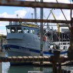 A fishing boat sits at the dock at Homers harbor in May. (Nathaniel Herz/Northern Journal)