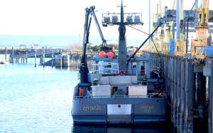 Buck Laukitis boat, the Oracle, sits in Homer in May before unloading its catch of halibut. (Nathaniel Herz/Northern Journal)