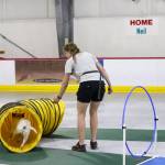 Erika King runs her 8-year-old dog Louie, who is half Australian cattle dog and half pitbull, through an agility course at Treadwell Arena on Saturday. (Jasz Garrett / Juneau Empire)
