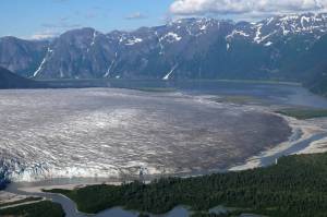 The piedmont terminus of Taku Glacier, one of more than 1,000 glaciers in the Juneau Icefield in Southeast Alaska. (Bethan Davies / The New York Times)