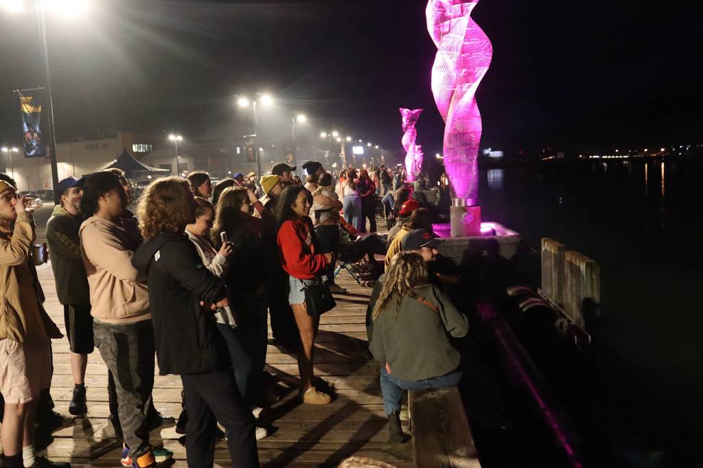 A crowd watches the Fourth of July fireworks show from the downtown cruise ship dock shortly after midnight Thursday. (Mark Sabbatini / Juneau Empire)