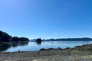 Participants in a junior naturalist program hosted by Jensen-Olson Arboretum walk along a beach. (City and Borough of Juneau photo)