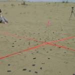 U.S. Fish and Wildlife Service biologist Karin Bodony at the site of an obsidian tool discovery in the Nogahabara Dunes in 2002. (Photo by Dan Odess)