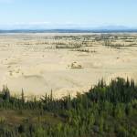 The Nogahabara Sand Dunes in the Koyukuk Wilderness Area west of Koyukuk River. (Keith Ramos / U.S. Fish and Wildlife Service)