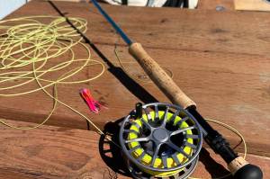 Fly fishing for salmon in the saltwater might reduce the opportunity to get quick limits, but theres nothing like it. (Photo by Jeff Lund)