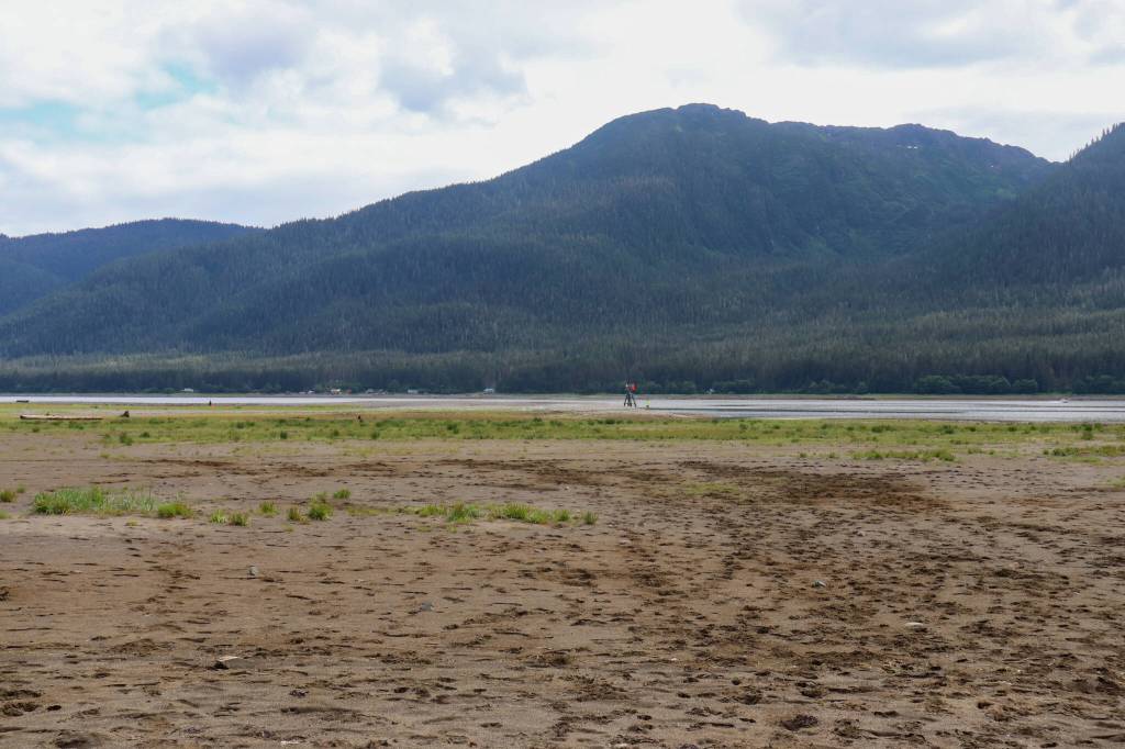 The revegetating area is seen on the Sheep Creek delta. The Thane Neighborhood Association is reporting damage to the revegetation caused by dredging. (Jasz Garrett / Juneau Empire)