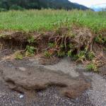 Chris Prussing points out what she says is erosion from dredging near regrowing vegetation on the Sheep Creek Delta. (Jasz Garrett / Juneau Empire)