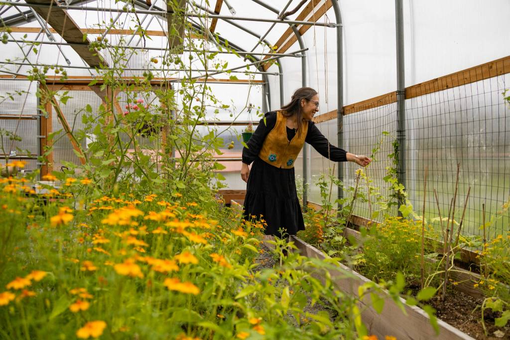 Sustainable Southeast Partnership Chilkat Valley Community Catalyst Katrina Aklá Hotch also works in and supports the Klukwan Aan Táayi (Community Garden) which was established in 2005. (Photo by Ḵaa Yahaayí Shkalneegi Muriel Reid)