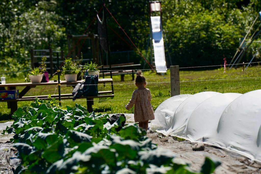 Families regularly participate together as Victory Garden volunteers bringing their children, parents, step family, dogs and more. This little one harvested freshly grown broccoli with her family. (Photo by Shaelene Grace Moler)