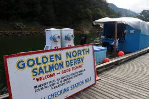 The Douglas Harbor weighing station is quiet on Saturday morning as the 78th Golden North Salmon Derby begins its second day. (Mark Sabbatini / Juneau Empire)