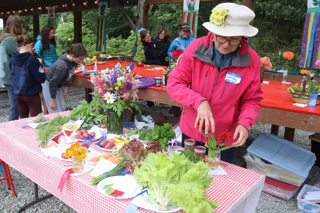 Deb Rudis examines her table of award-winning vegetables during the 30th Annual Juneau Community Garden Harvest Fair on Saturday. (Mark Sabbatini / Juneau Empire)
