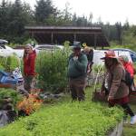 People tour the garden plots during the 30th Annual Juneau Community Garden Harvest Fair on Saturday (Mark Sabbatini / Juneau Empire)