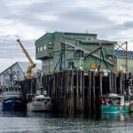The OBI Seafoods processing plant in Petersburg on Aug. 17, 2024. Over the last few years, the $6 billion Alaskan wild seafood market has been ensnared in a mix of geopolitics, macroeconomics, changing ocean temperatures and post-Covid whiplash that piled on top of long-building vulnerabilities in the business model. (Ash Adams/The New York Times)