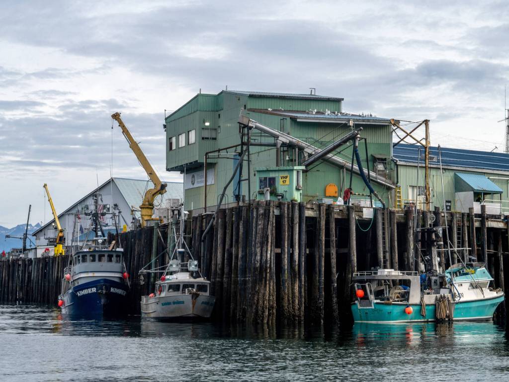 The OBI Seafoods processing plant in Petersburg on Aug. 17, 2024. Over the last few years, the $6 billion Alaskan wild seafood market has been ensnared in a mix of geopolitics, macroeconomics, changing ocean temperatures and post-Covid whiplash that piled on top of long-building vulnerabilities in the business model. (Ash Adams/The New York Times)
