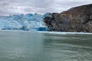 The South Sawyer glacier had shed many small bergs, which were occupied by hard-to-see resting seals. (Photo by Mary F. Willson)
