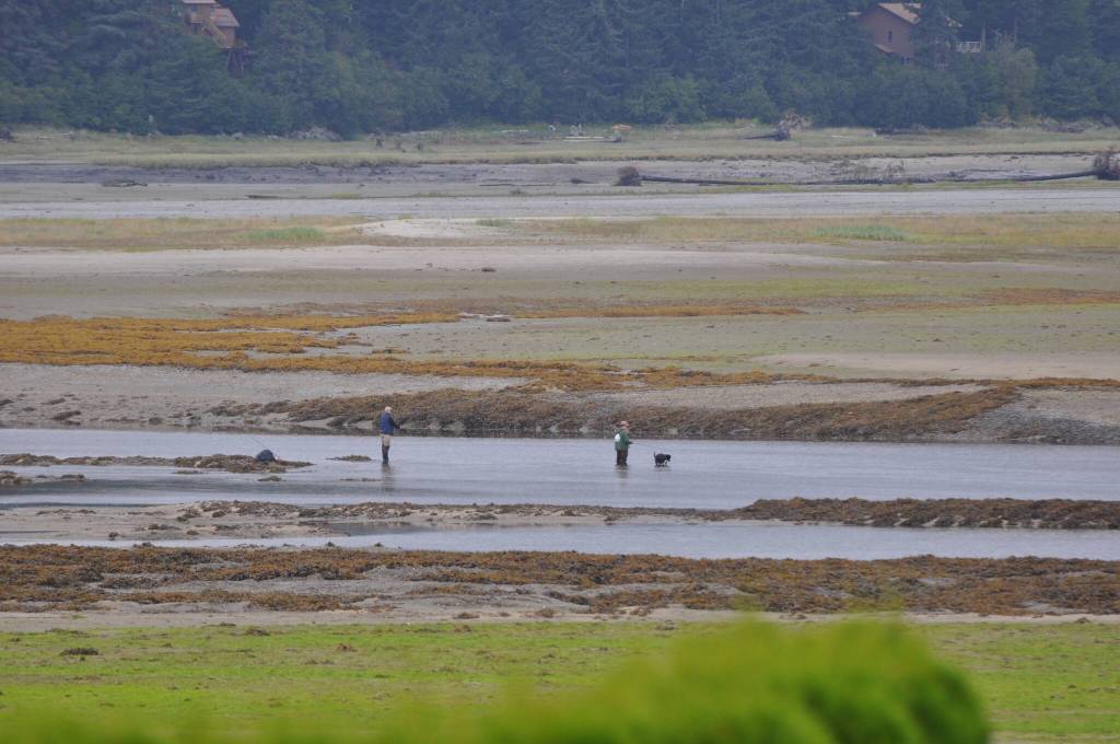 Two fishermen and a dog wade through Gastineau Channel from Douglas an hour after a 3.4-foot low tide on Sunday, Sept. 8. (Laurie Craig / Juneau Empire)
