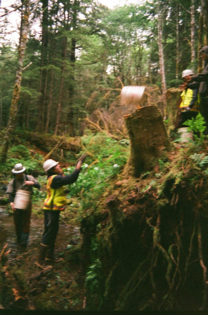 Prince of Wales Alaska Youth Stewards crew passes buckets of sediment from the forest to the bank at a salmon stream restoration project near Klawock. (Photo by Addy Mallott)