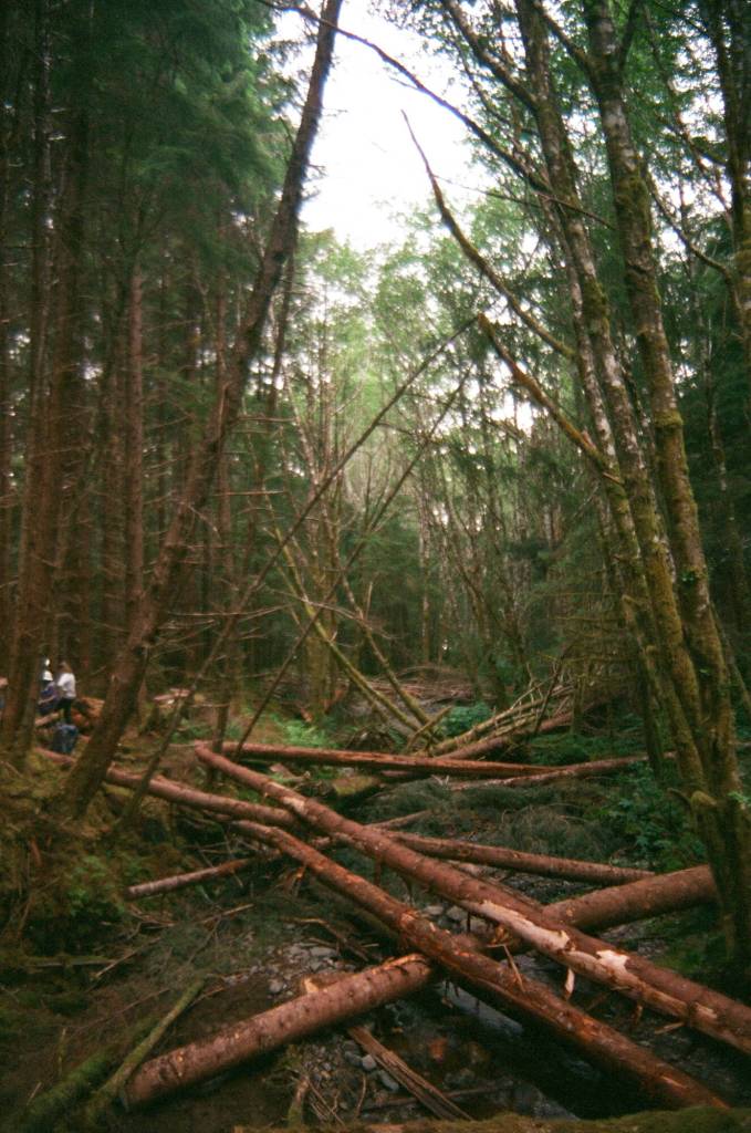 Back to Lands Week was a field trip to help participants gain a deeper understanding of the Sealaskas commitment to traditional lands and the work of its partners on the island of Prince of Wales. (Photo by Addy Mallott)
