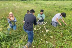 (U.S. Forest Service photo)