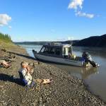 Chris Florian, left, and Skip Ambrose scan a cliffside across the upper Yukon River looking for peregrine falcons on July 13, 2018. (Photo by Ned Rozell)