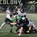 Juneau senior Sage Schultz (5) recovers a fumble by Colony senior Tegan Olson (7) caused by Juneau senior Caleb Ziegenfuss, shown under the tackle by junior teammate Mati Iona (18), during the Huskies 42-6 win over the Knights on Friday in Palmer. Juneau junior Gunnar Niere moves into the tackle. (Klas Stolpe / Juneau Empire)