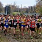 Division I boys begin the 2024 ASAA cross-country running state championships Saturday on the Bartlett High School Trails in Anchorage. (Klas Stolpe / Juneau Empire)