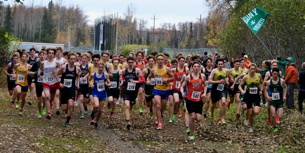 Division I boys begin the 2024 ASAA cross-country running state championships Saturday on the Bartlett High School Trails in Anchorage. (Klas Stolpe / Juneau Empire)