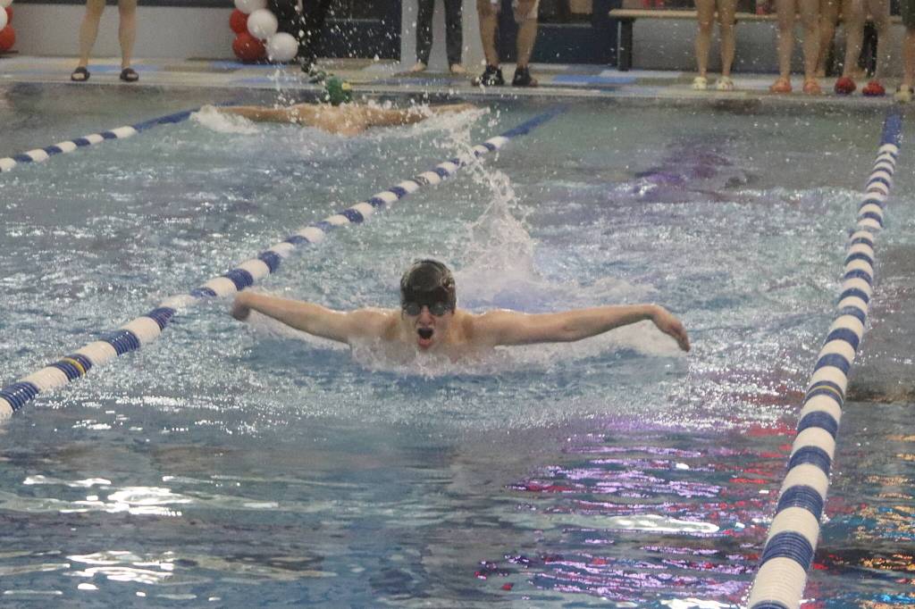 Juneau-Douglas High School: Yadaa.at Kalés Elyas Taylor competes in the 100-meter fly during a regional meet Saturday at Dimond Park Aquatic Center. (Mark Sabbatini / Juneau Empire)