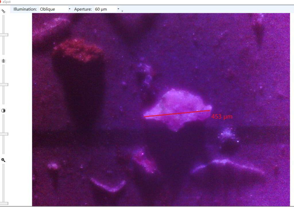 This microplastic sample  invisible to the naked eye  might have come from a neoprene boot cover near a climbing camp on Denali in June 2024. (Photo courtesy of Dee Barker)