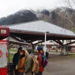Zach Rampone, Qing Wang, Chett Vogt and Mike Callis peruse the menu at a food stand in Marine Park on Thursday, the final day of the 2024 cruise ship season in Juneau. (Mark Sabbatini / Juneau Empire)