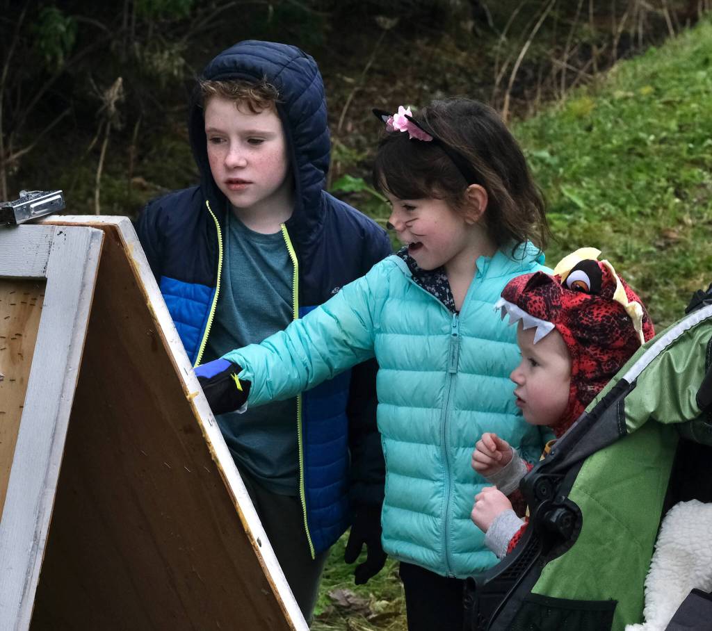 Elias Mason, Aurora Mason and Harrison Mason look at their times after finishing the 5K at Saturdays Halloween Half Marathon. (Klas Stolpe / Juneau Empire)