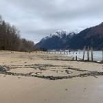 An artistic replica of a South African model is seen on the surface of Sandy Beach as the tide slowly ebbs away at its features on Monday. (Mark Sabbatini / Juneau Empire)